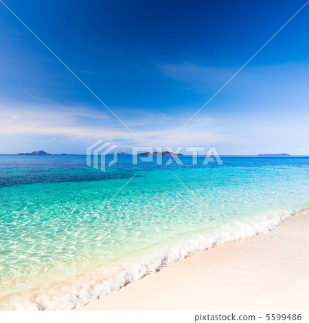 Tropical beach Malcapuya Tropical beach Malcapuya 5599486