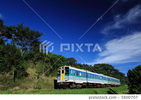 Kurumin線 Kurumin線 5600707