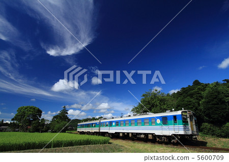 Kurumin線 Kurumin線 5600709