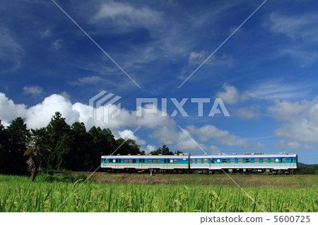 Kurumin線 Kurumin線 5600725