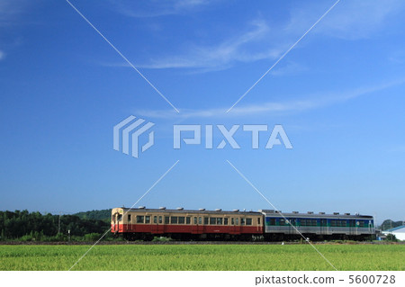 Kurumin線 Kurumin線 5600728