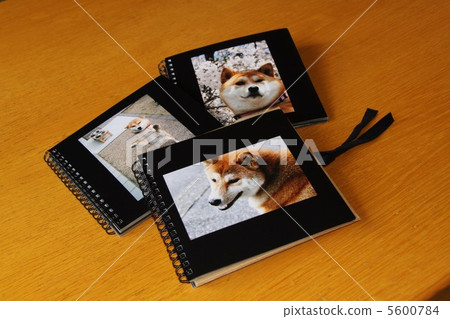Shiba Inu照片書 5600784