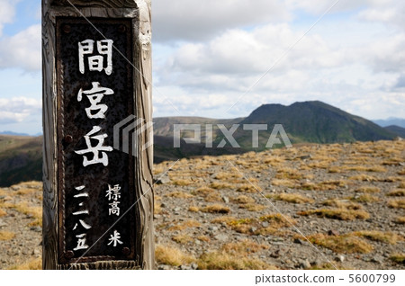 瑪米亞達峰 5600799