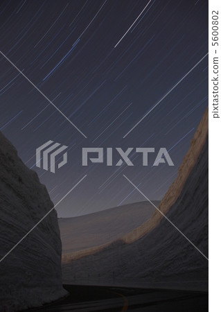 大谷的夜晚 5600802