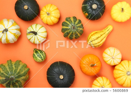 pumpkin pumpkin 5600869