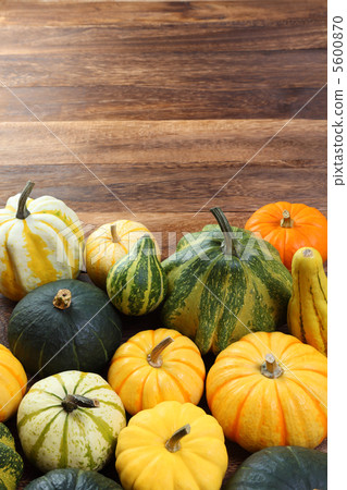 pumpkin pumpkin 5600870