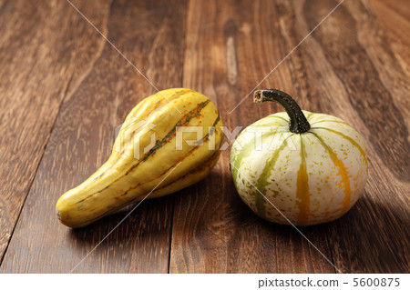 南瓜 南瓜 5600875