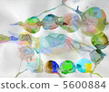 彩色圖像幻想 5600884