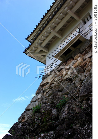 Kochi castle castle tower's stone drop Tosa Kochi ken Kazuyoshi Yamauchi Kochi castle castle tower's stone drop Tosa Kochi ken Kazuyoshi Yamauchi 5601592
