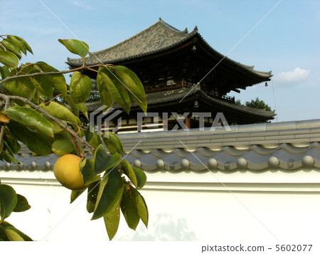 Yoshimitsutera 5602077