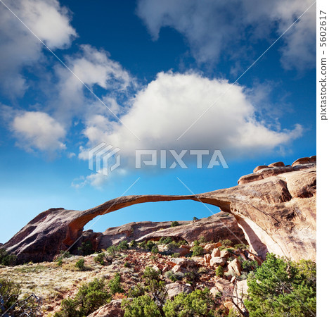 Arch Arch 5602617