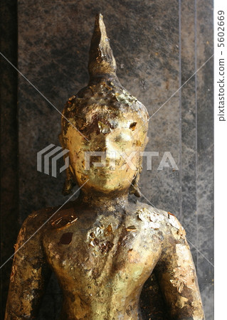 Buddha 5602669