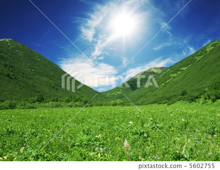 Mountain meadow Mountain meadow 5602755