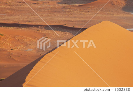 Dune Dune 5602888