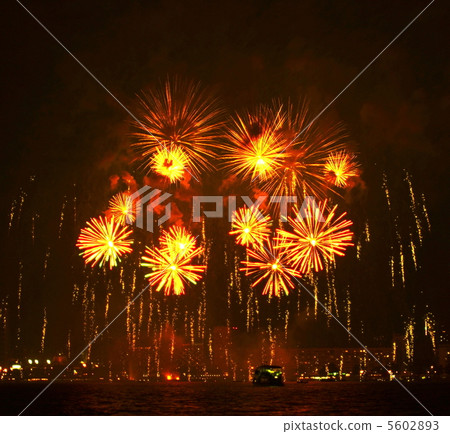 Firework Firework 5602893