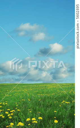 Field and blue 5602895