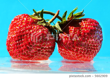 Strawberry on blue Strawberry on blue 5602909