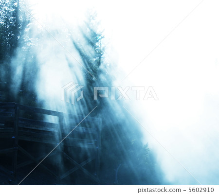 Fog in forest Fog in forest 5602910