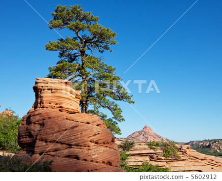 Zion 5602912
