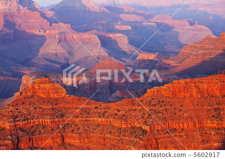 Grand Canyon Grand Canyon 5602917