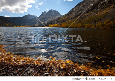 Autumn lake Autumn lake 5603245