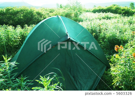 Tent Tent 5603326