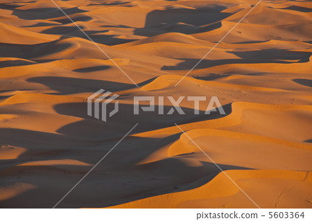Desert 5603364