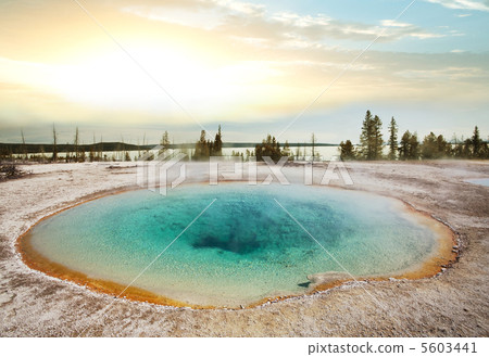 Yellowstone Yellowstone 5603441