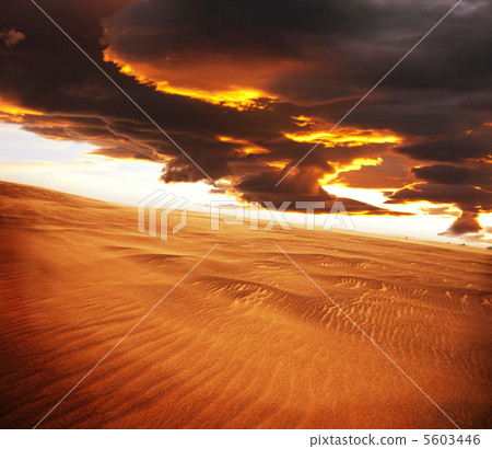 Desert 5603446
