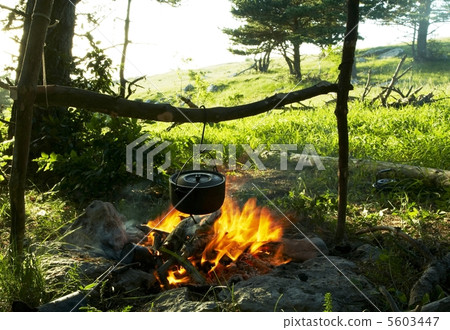 Campfire in forest Campfire in forest 5603447