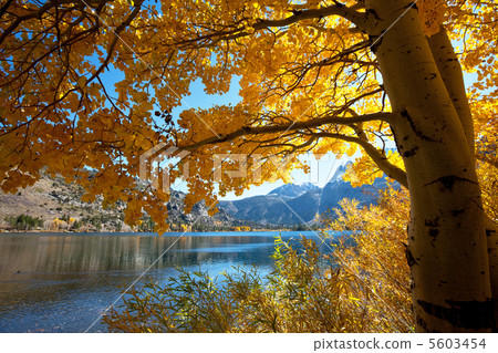 Autumn lake Autumn lake 5603454