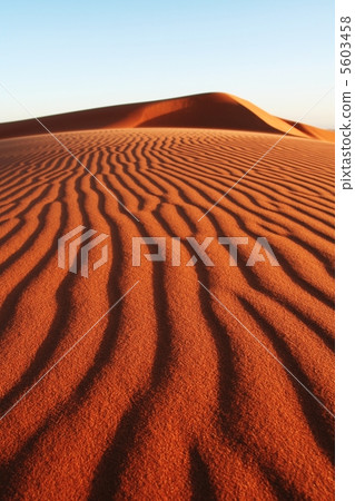 Desert Sahara Desert Sahara 5603458