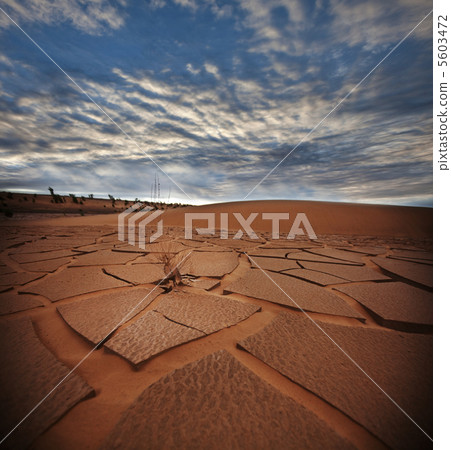 Drought land 5603472