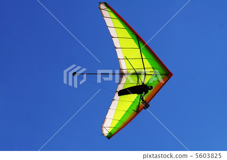 Hangglider in blue Hangglider in blue 5603825