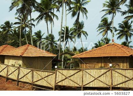 Resort scenery Resort scenery 5603827