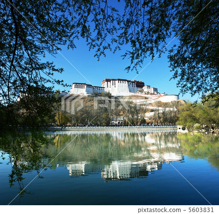 Potala Potala 5603831