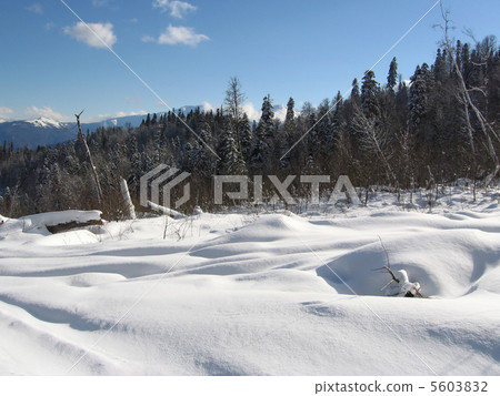 Winter landscape Winter landscape 5603832