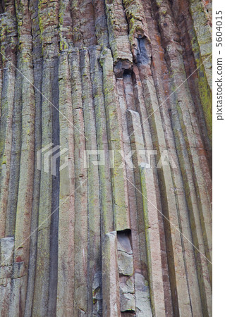 Stone texture 5604015