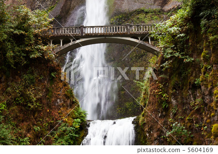 Waterfall in Oregon 5604169