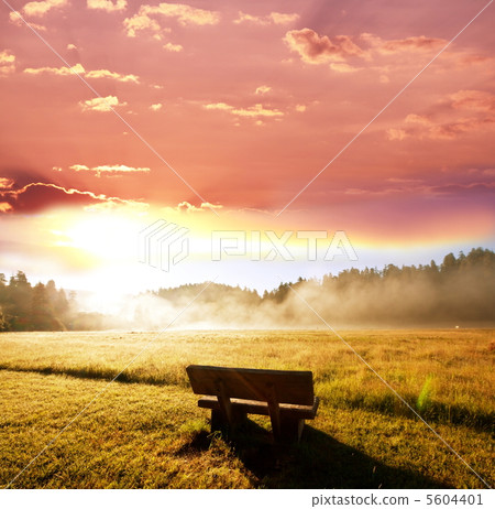 Bench Bench 5604401