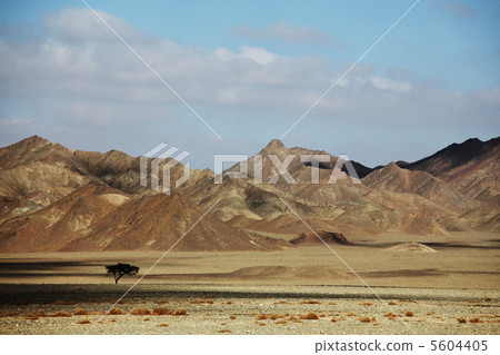 Egyptian landscapes Egyptian landscapes 5604405