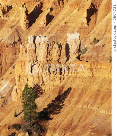 Bryce canyon Bryce canyon 5604721