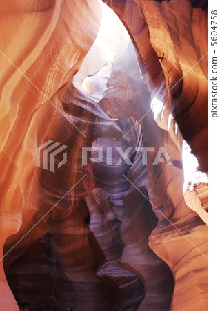 Canyon Antelope Canyon Antelope 5604758