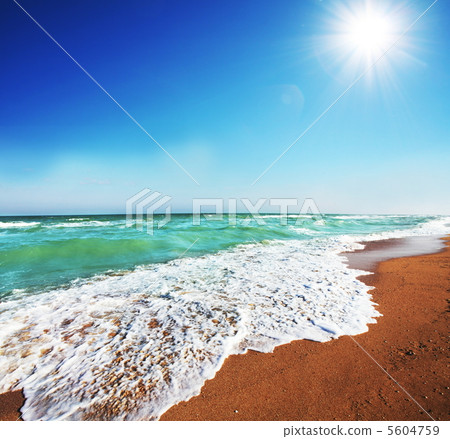 Sea beach 5604759