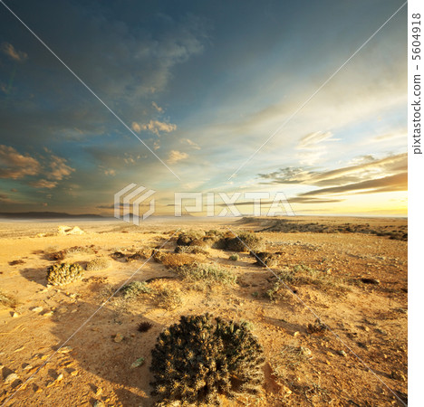 Prairie Prairie 5604918