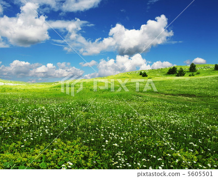 Field an clouds 5605501