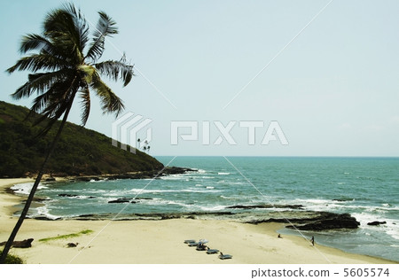Oceanic beach Oceanic beach 5605574