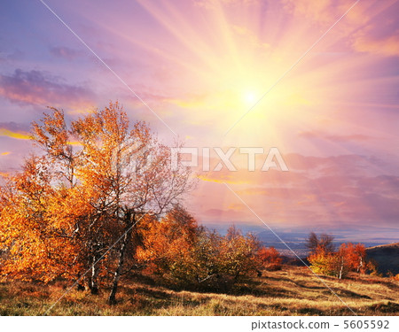 Autumn Autumn 5605592