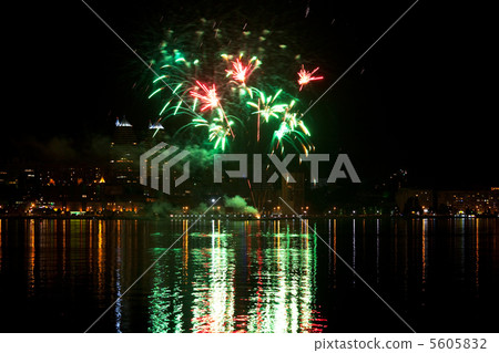 Firework 5605832