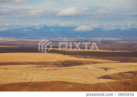 Fields Fields 5605838